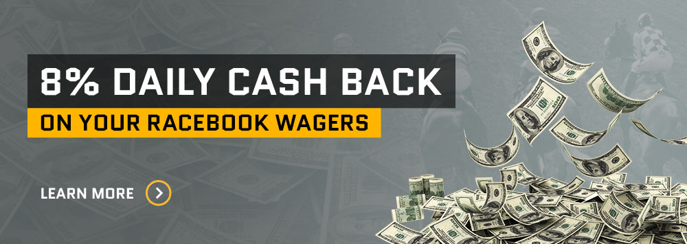 8% Daily Cash Back
